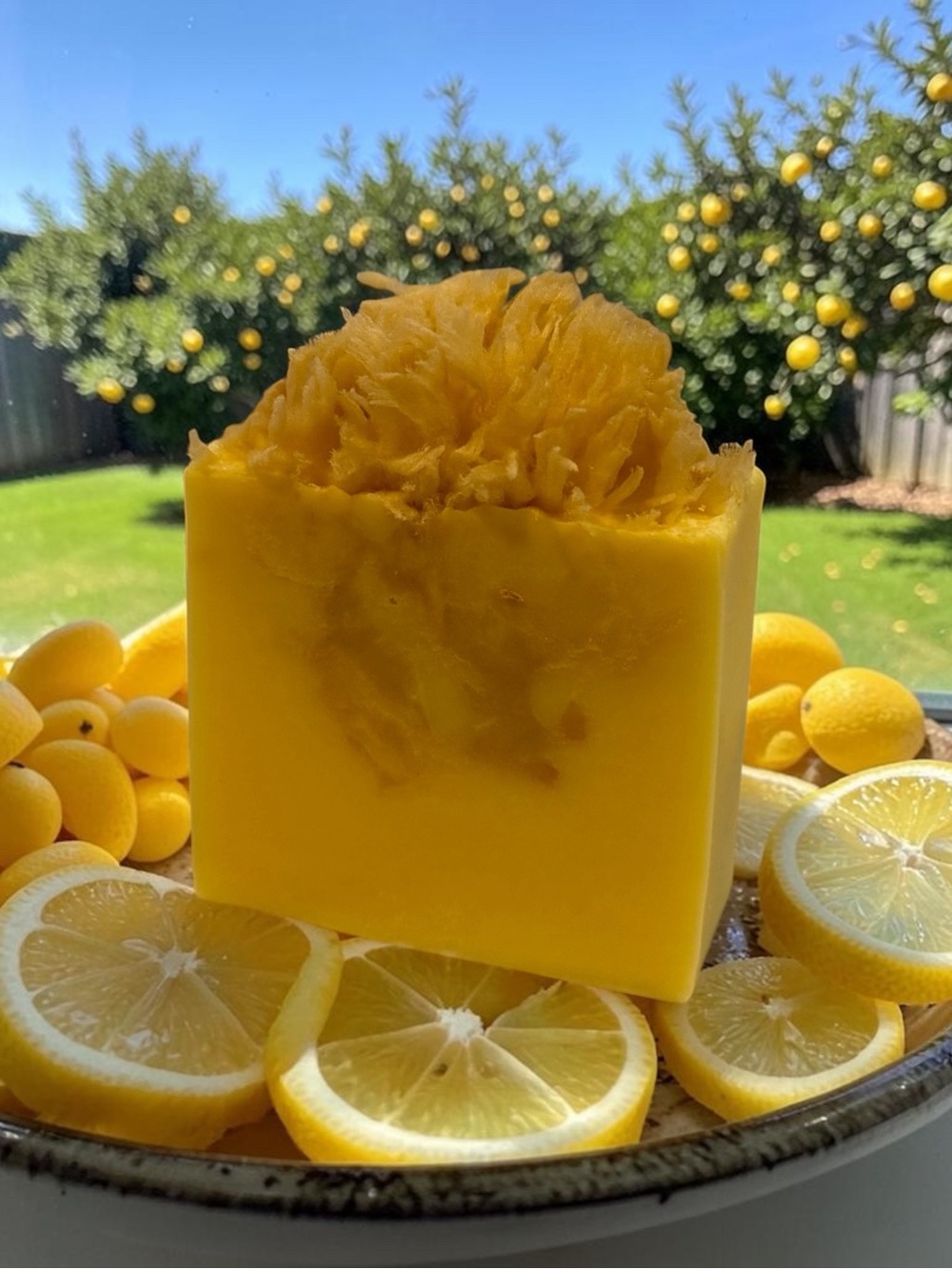 Goat Milk Soap Luxurious Hydration Skin Nutrition Orchid & Vine
